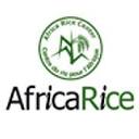 Africarice logo