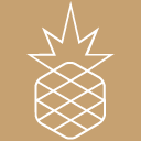 Ananas Design Crafts logo