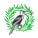 Anova Health logo
