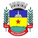 Apucarana logo