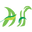 Atiya Herbs logo