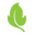 Balance of Nature, Inc. logo