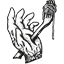 Baracca logo
