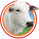 Barataodacarne logo