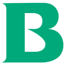 B. Braun Group logo