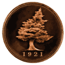 Bigcedar logo