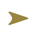 Bish's Group logo