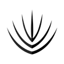 Blueagavegrillcolorado logo