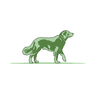Bostonfetch logo