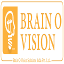 Brainovision Solutions India Pvt Ltd logo