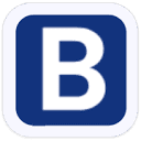 BrassRing, LLC logo