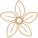 Brentwood Bay Resort logo