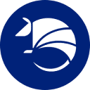 Broxus Holdings Ltd logo