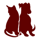 Companion Animal Hospital of Waller logo