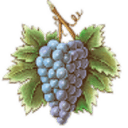 Cakebread Cellars logo