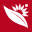 Cankardeslerkuruyemis logo