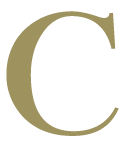 ChloBo Ltd logo