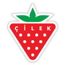 Çilek Mobilya logo