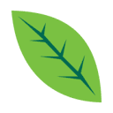 Cleanbydesignkazoo logo