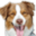 Coastal Pet Products, Inc. logo