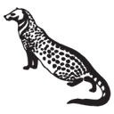 Cwsindia logo