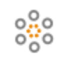Data Service Group logo
