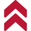 Demis Group logo