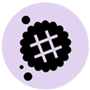 DoubleSmart logo
