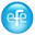 efe logo