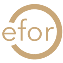Efor Group logo