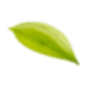 Eforcay logo