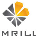 Emrill Services LLC logo
