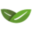 Geagro logo