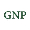 GNPower Ltd. Co. logo