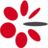 Goldiran Co. logo