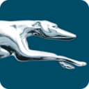 Greyhound Bus Lines Inc logo