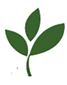 Healthy Care logo