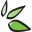 Herbal Magic Corp. logo