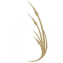 ICONA Resorts We're HIRING! logo