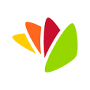 Curacaoexport logo