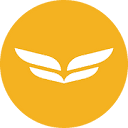 International logo