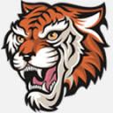 IronTiger Logistics, Inc. logo
