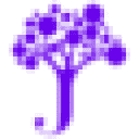 Jacaranda Finance Pty Ltd logo