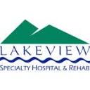 Lakeviewsystem logo