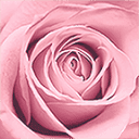 La Vie en Rose Inc. logo