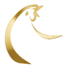 Macpollo logo