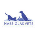 Maes Glas Vets Limited logo