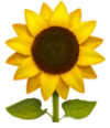 Mangaroa Farms logo