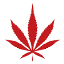 MedMen Inc. logo