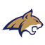 Msubobcats logo
